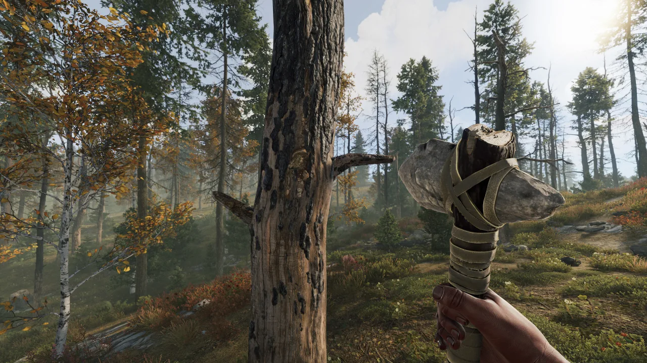 First-person view of a stone hatchet held beside a tree in a sunlit Rust forest.